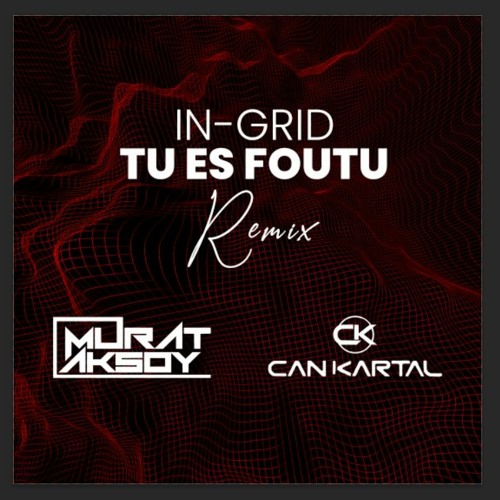 IN - GRID - Tu Es Foutu (Murat Aksoy Remix)