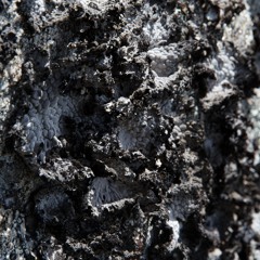 Mutualism’s Hidden Costs
