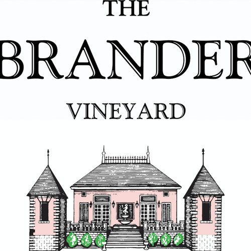 krijgen maximaal Gedateerd Stream The Brander Vineyard - Fabian Bravo by Wine Soundtrack | Listen  online for free on SoundCloud