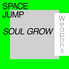 Space Jump - Soul Grow (Radio Edit)