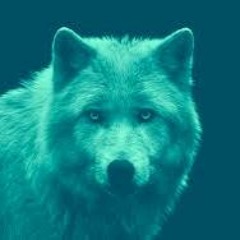 BASED SIGMA GRINDSET