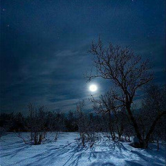 Light from the Winter Moon Light (Original)