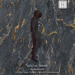 Sascha Trimpe ✦ Erymos (Unsaid Remix)