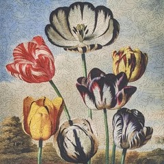 TULIPS *1ntcart*
