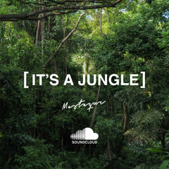 [IT’S A JUNGLE] - AFROHOUSE MIX