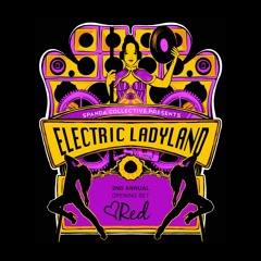 Electric Ladyland 02