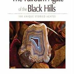 READ [EPUB KINDLE PDF EBOOK] The Fairburn Agate of the Black Hills: 100 Unique Storied Agates by  Ji