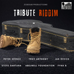 ZIGEDUB PRESENTS TRIBUTE RIDDIM PROMO MIX