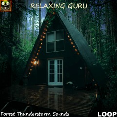 Thunderstorm Sounds | Sleep in a Tiny House with Sounds of Rain, Thunder & Animals in the Forest