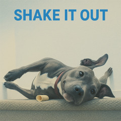 Shake It out_1