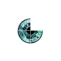 Through Your Eyes (FREE DOWNLOAD)