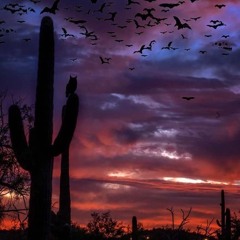 NOTHING LEFT TO SAY (PROD. NEVERFOREVER)