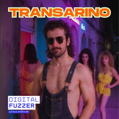 Digital Fuzzer - Transarino