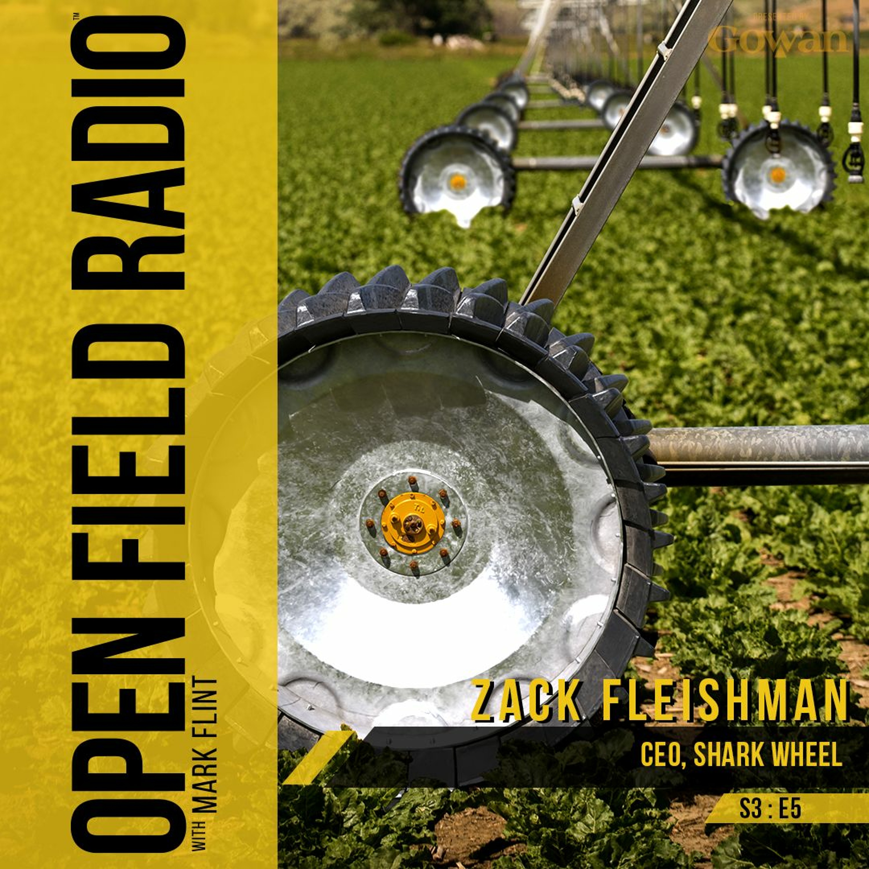 Open Field Radio