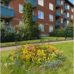 202 Astronomgatan