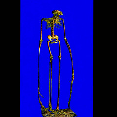 Gravewalk prod. Me & Sur6ery