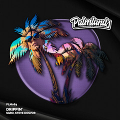 SGRO & Steve Dosvor - Drippin' (Streaming Edit) [Palmlands Records]