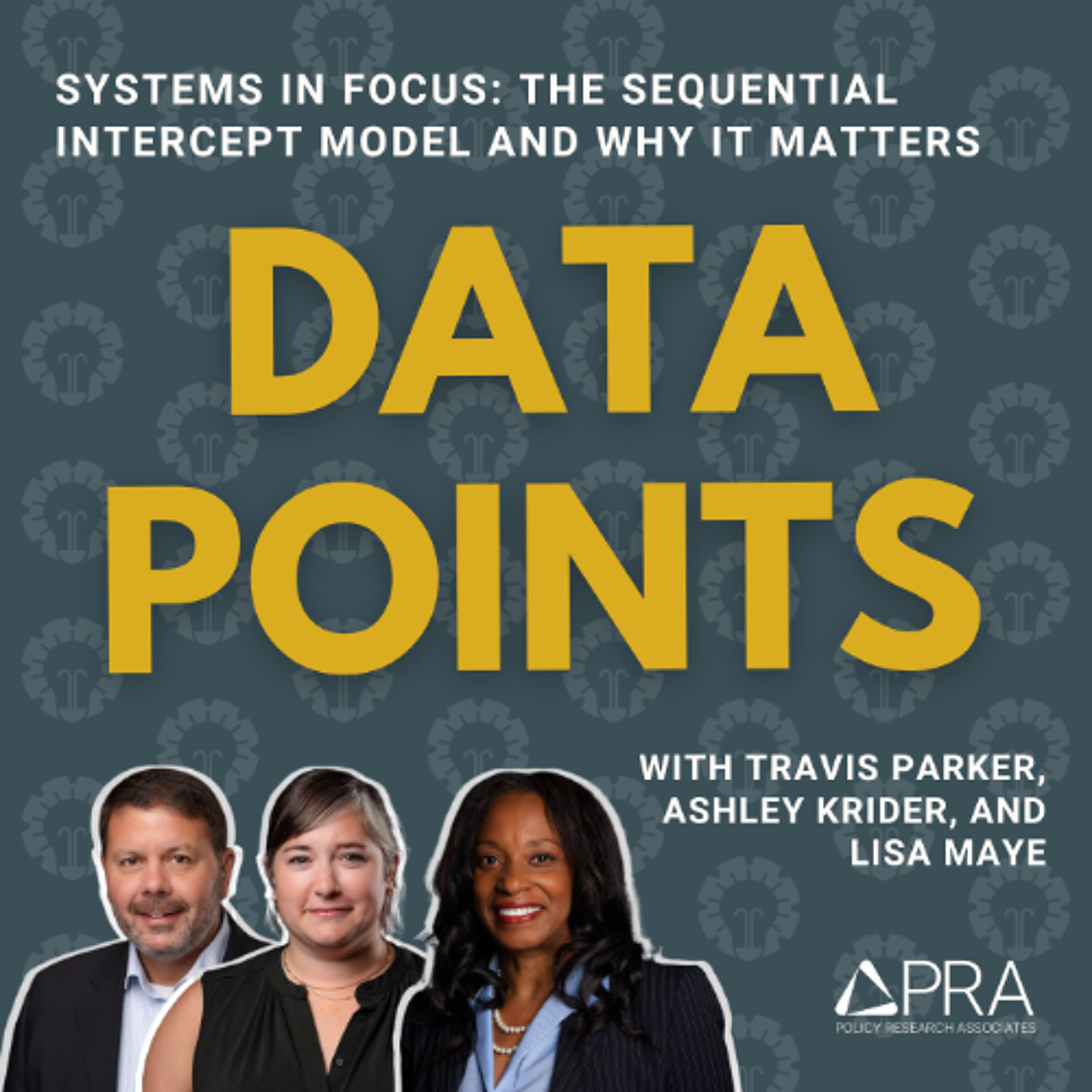 Data Points | Systems in Focus: The Sequential Intercept Model and Why It Matters episode artwork