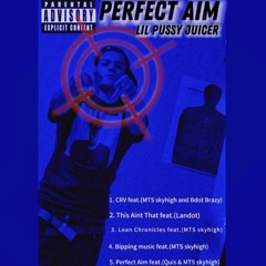 Perfect Aim feat.( MTS BabaQuiu$, MTS skyhigh)