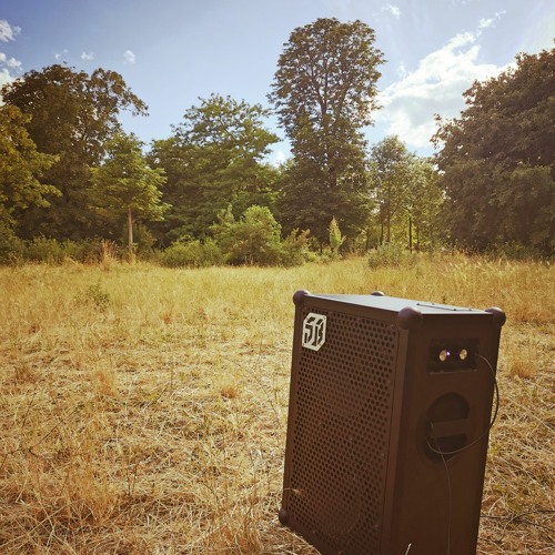 Open Air Vincennes (Paris, 6th of June 2020)