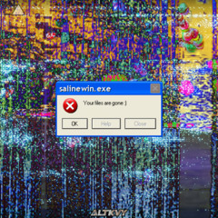 salinewin.exe