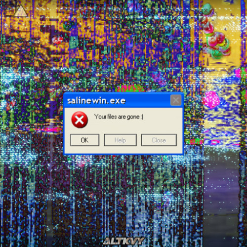salinewin.exe