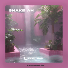 Shake Ah - Instrumental (Afro R&B, Tyla x Afrobeat Type Beat)