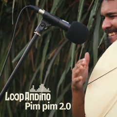 LOOP ANDINO // PIM PIM 2.0