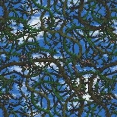 Sticker bush Symphony 1 hour (Donkey Kong Country)