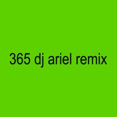365 dj ariel remix charli xcx.jpeg
