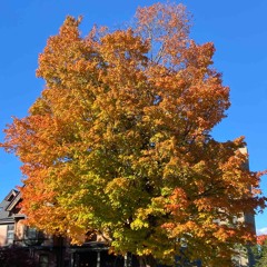 Miss Rustbelt (DEMO)