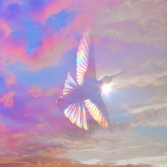 Phase 1 - Intro / Get Dat / Everyday