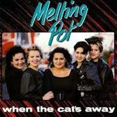 Whe The Cats Away - Melting Pot (A Tony Phoenix Rework v2)