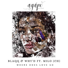 Première | Blaqq & Why'd & Milo (CH) - Losing It All [AM050]