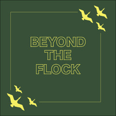 Beyond the Flock: Vlad-Cristian Breazu (Episode 2)