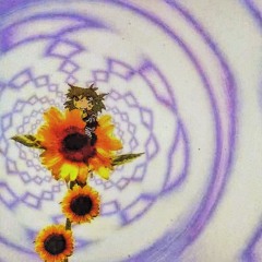flowerseed