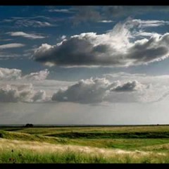 Русская народная песня - Ах ты, степь широкая /Russian folk song - Oh you, wide steppe