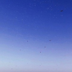 Mellow Marmalade- Tash Sultana