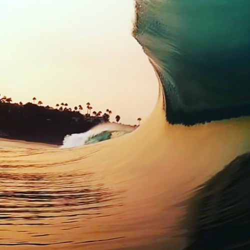 Session #25 (Wavy: Reggae and R&B)