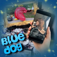 Alarm W Bluedog & Mag