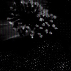 Cassiopeia