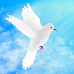 Potang - Dove (De-Memed)