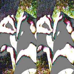 winter storm in florida leaves hundreds dead, thousands more injured.mp6