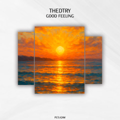 Thedtry - Good Feeling [PLTL424W]