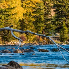 The Ranch At Rock Creek - Montana USA