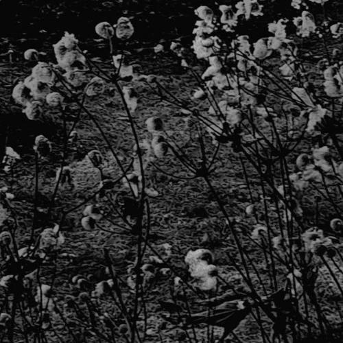 Klaus Devore - No More Joy (Free download)
