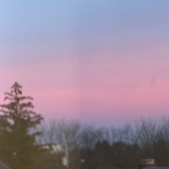 Motion Director - Open Space