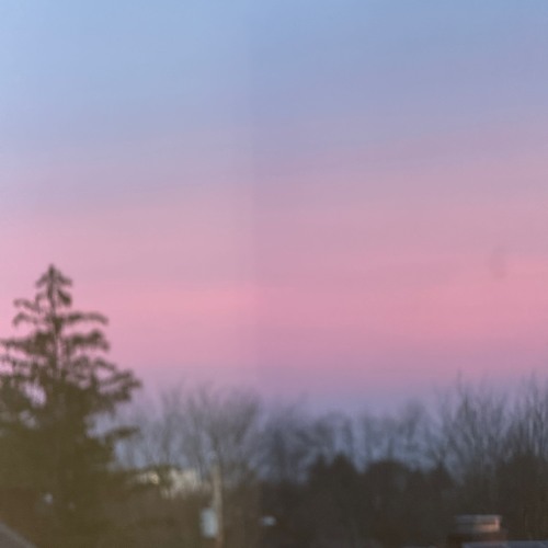 Motion Director - Open Space