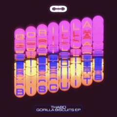 Premiere: B1 – Gulf Breeze – Something Strange (Nemo Vachez Alien Garage  Mix) [STFM004] - Trommel Music