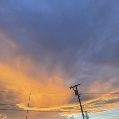 Syn Rank - Patient (Official)